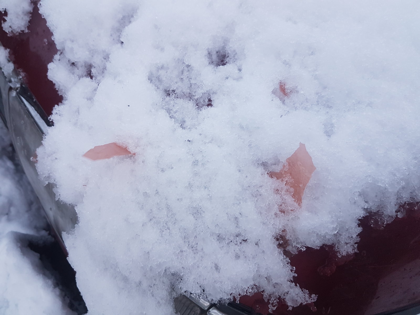 20171227_081559.jpg