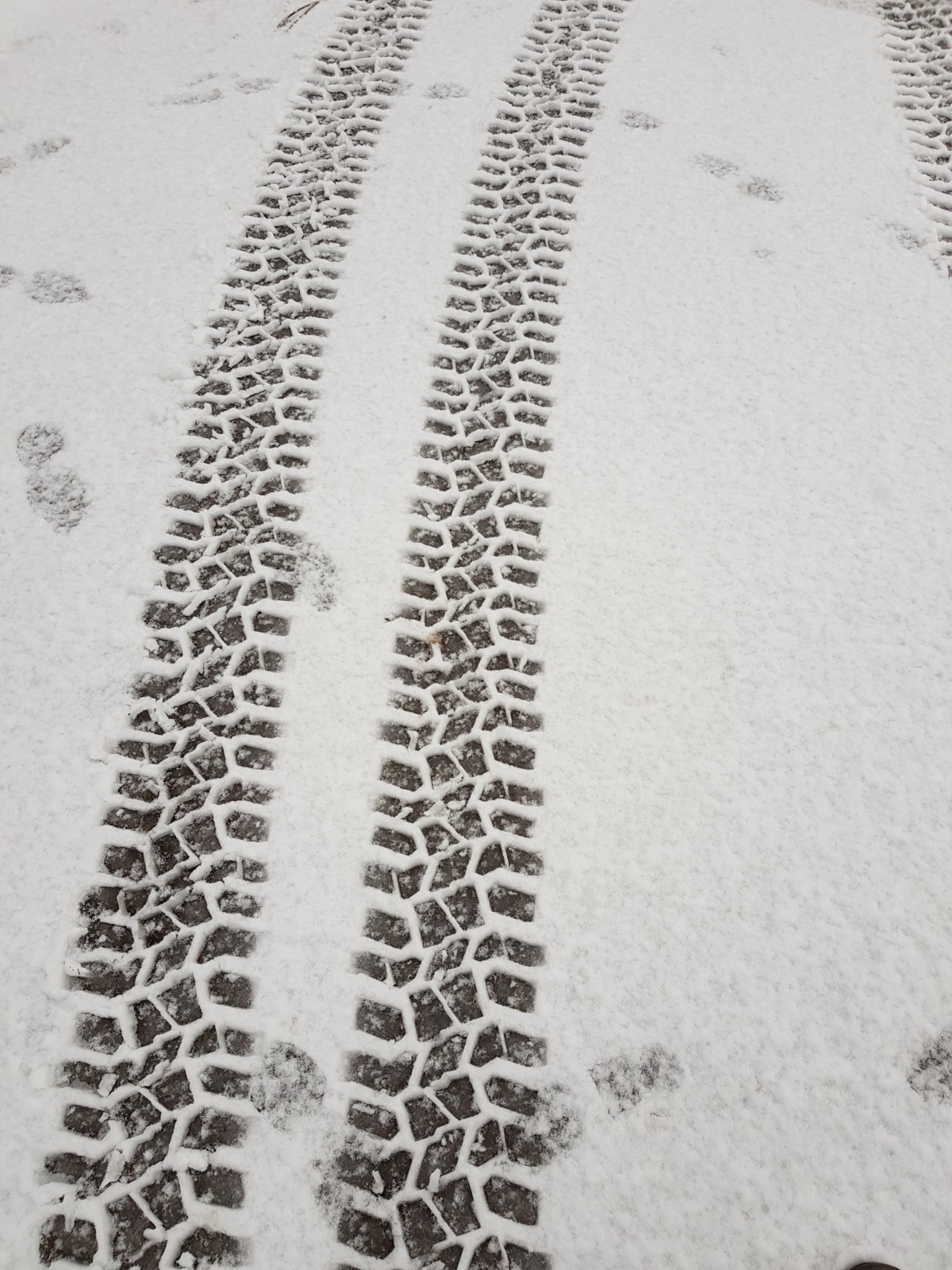 20171229_110640.jpg