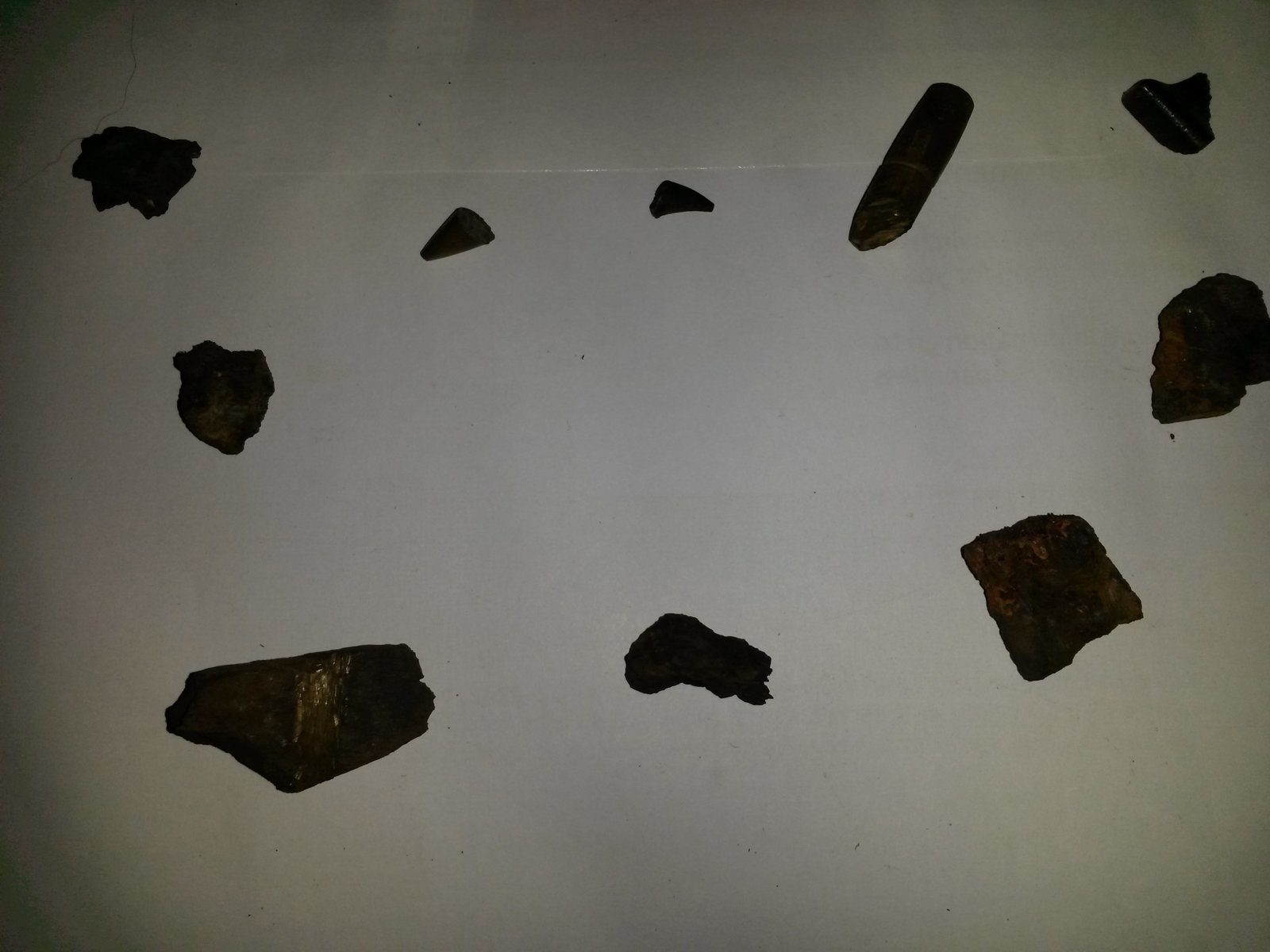 20180201_222148.jpg