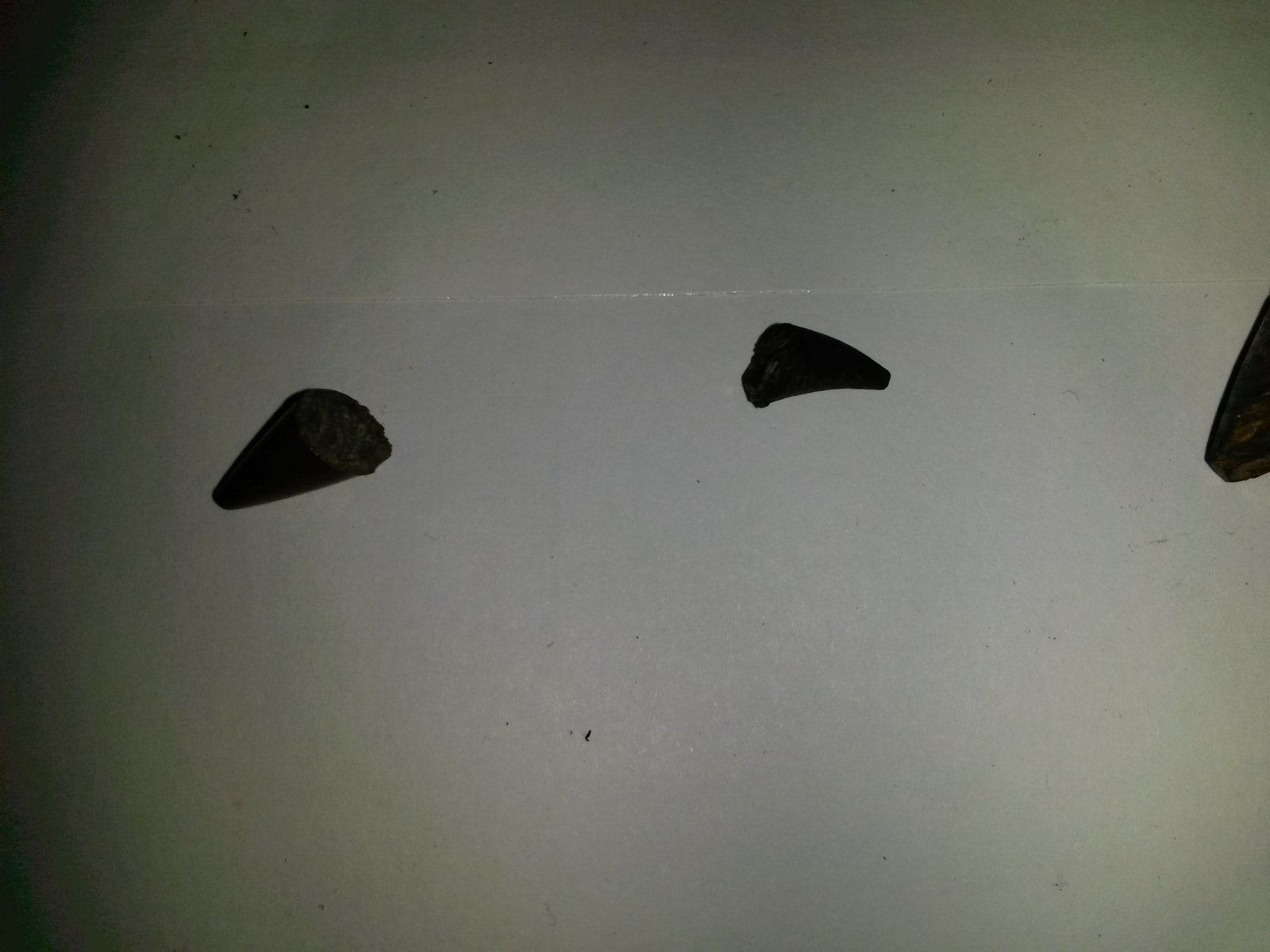 20180201_222415.jpg