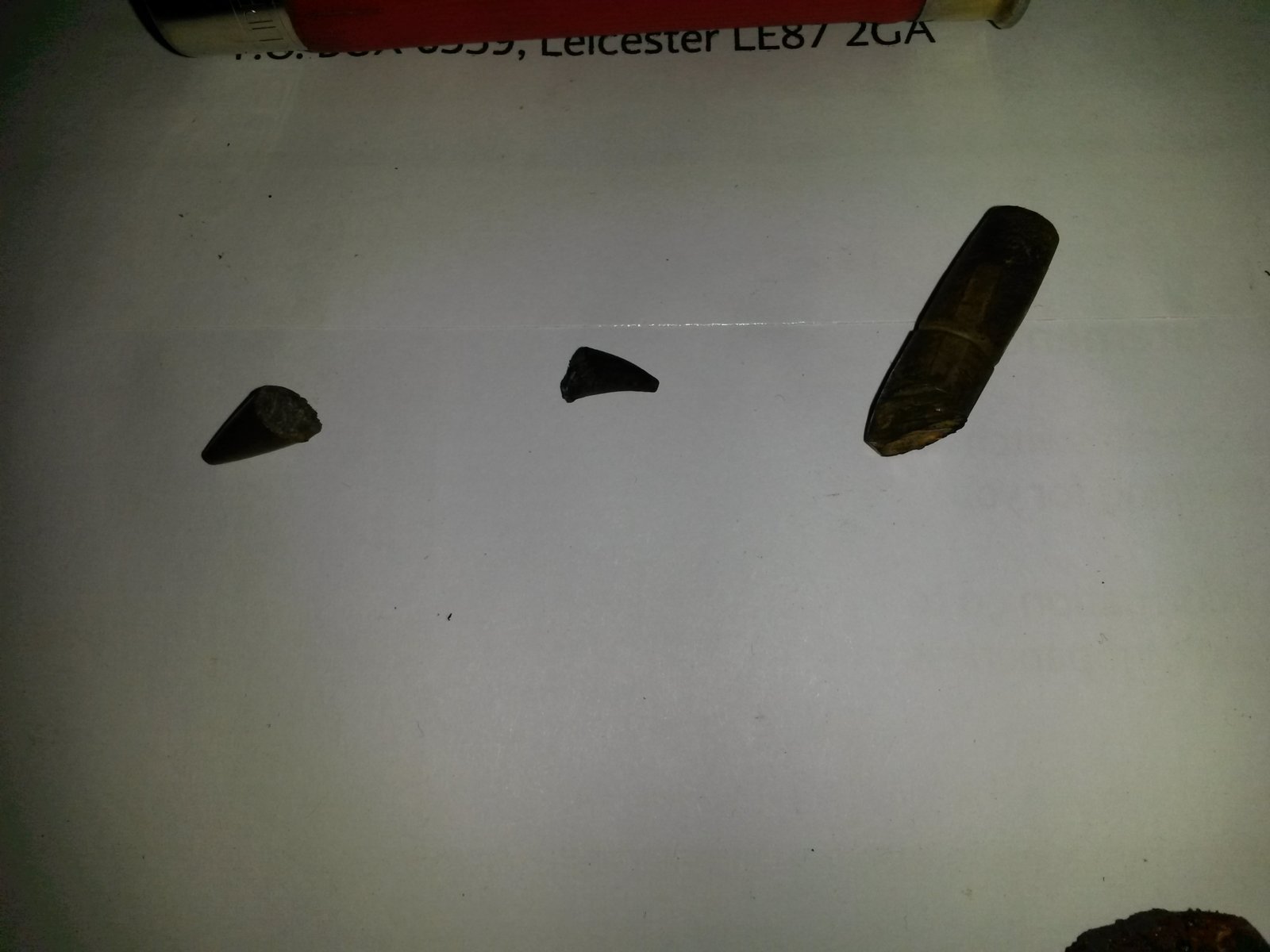 20180201_222433.jpg