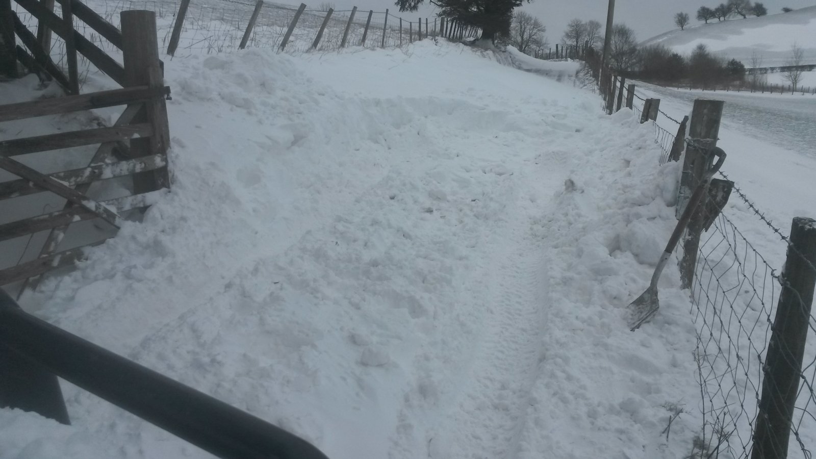 20180302_104814.jpg