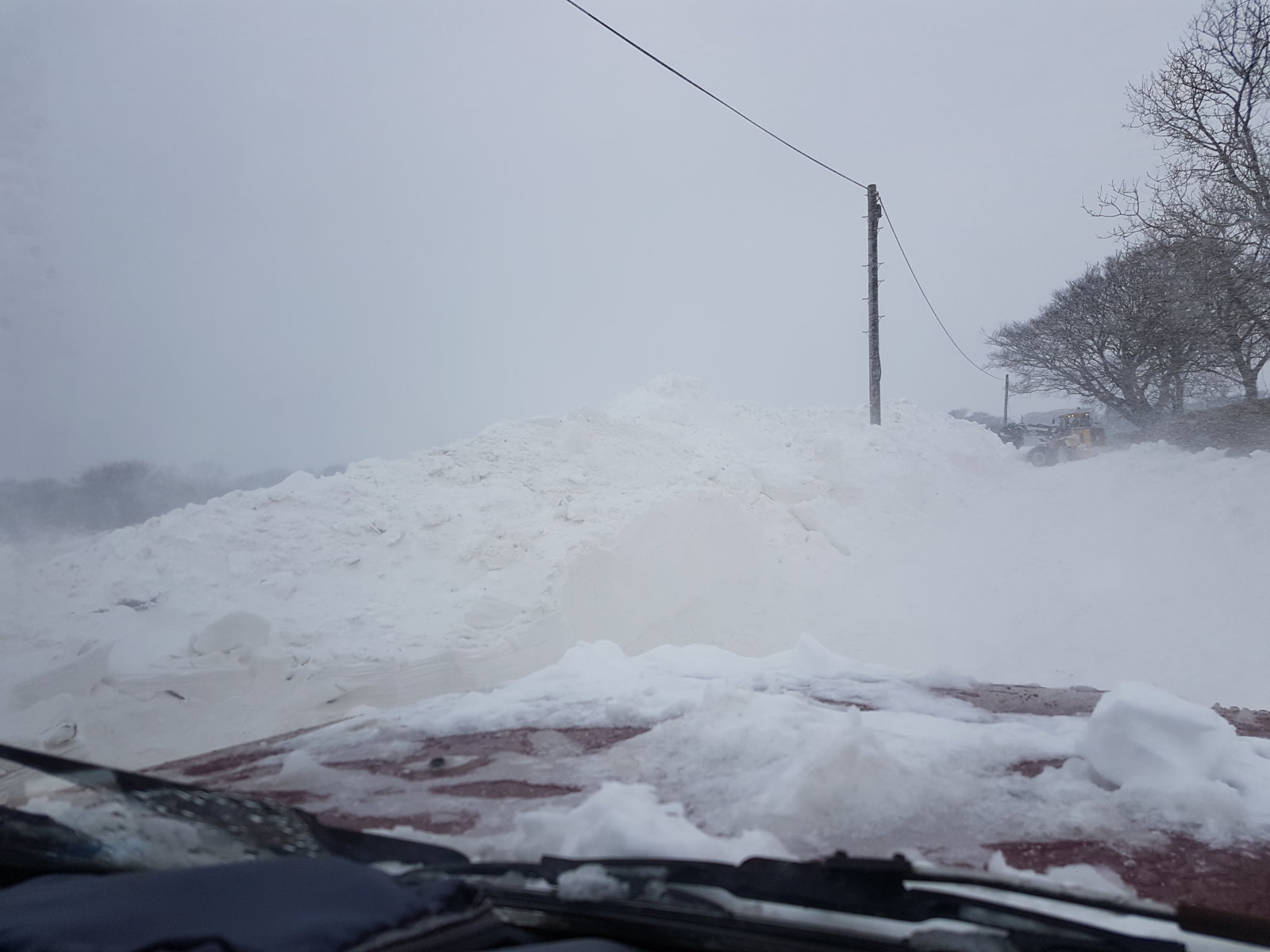 20180302_124346.jpg
