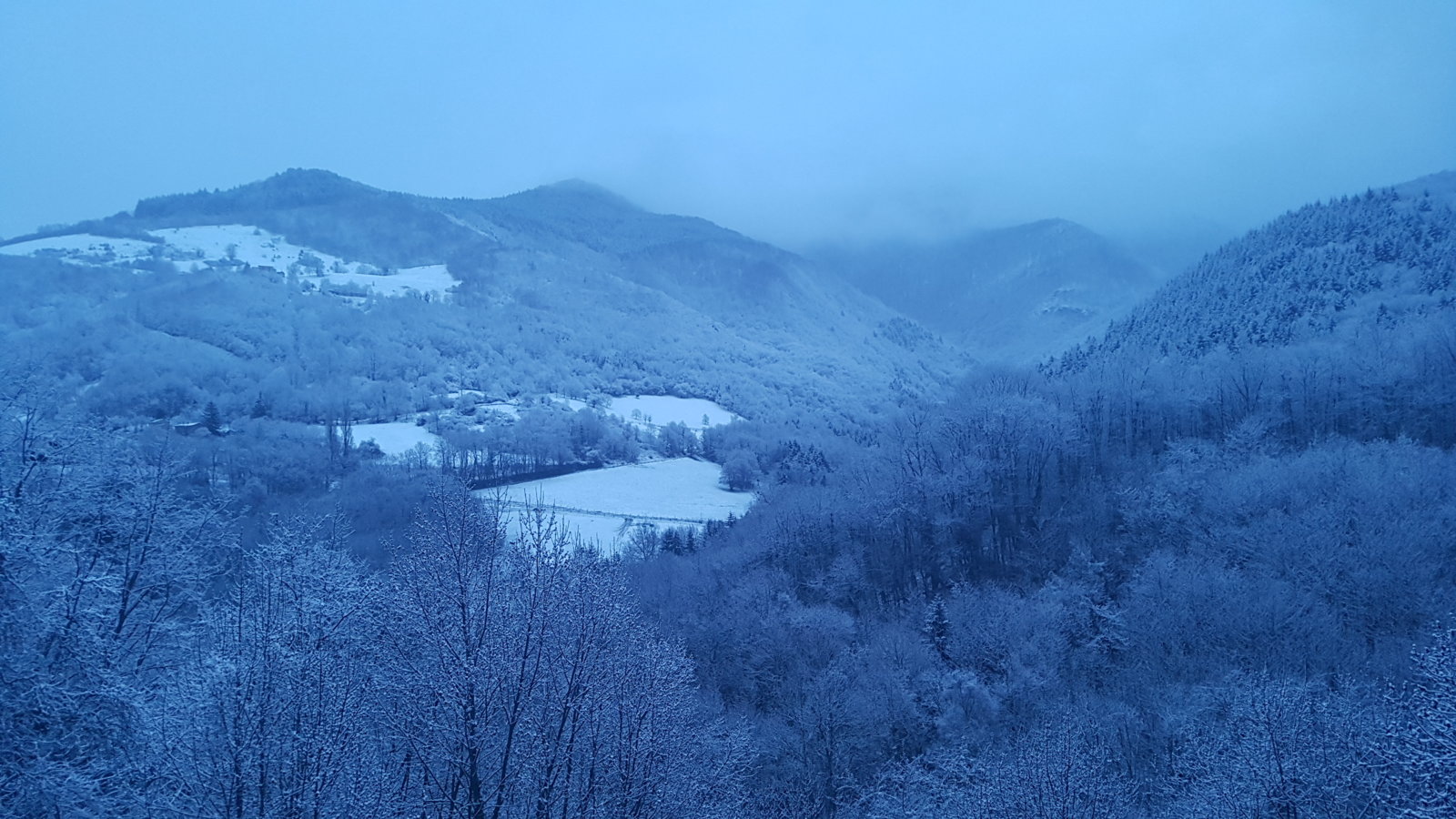 20180319_191036.jpg