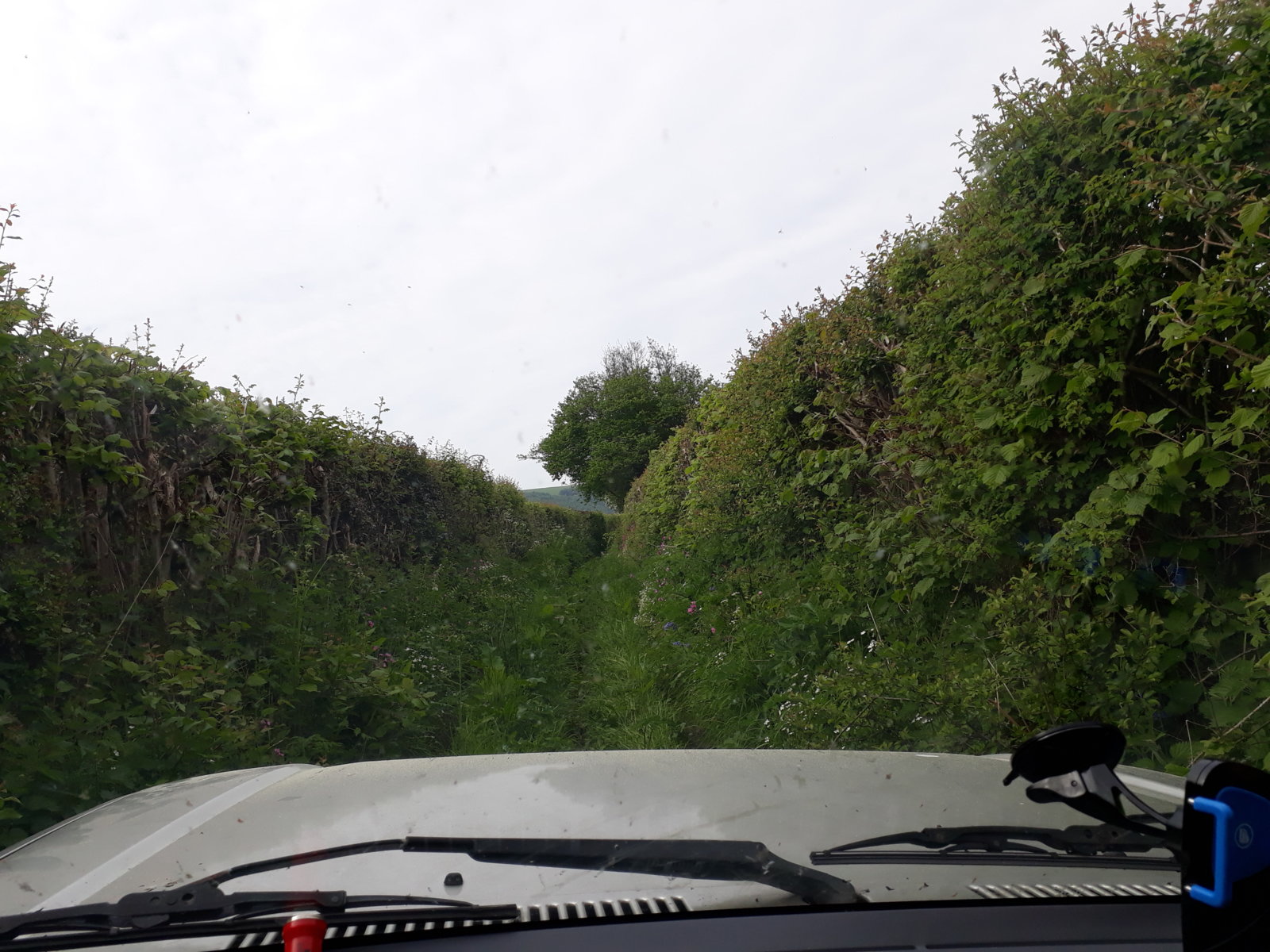 20180520_100733.jpg