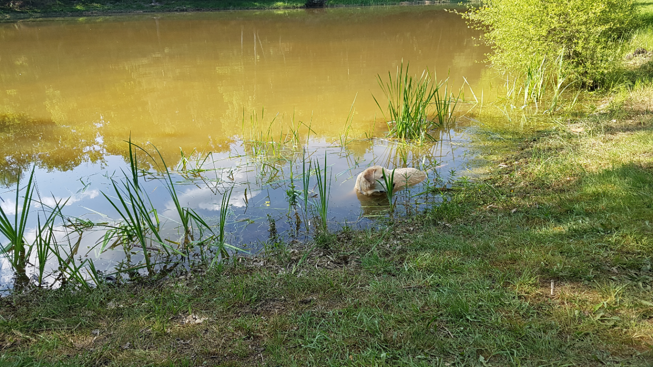 20180520_182919.png