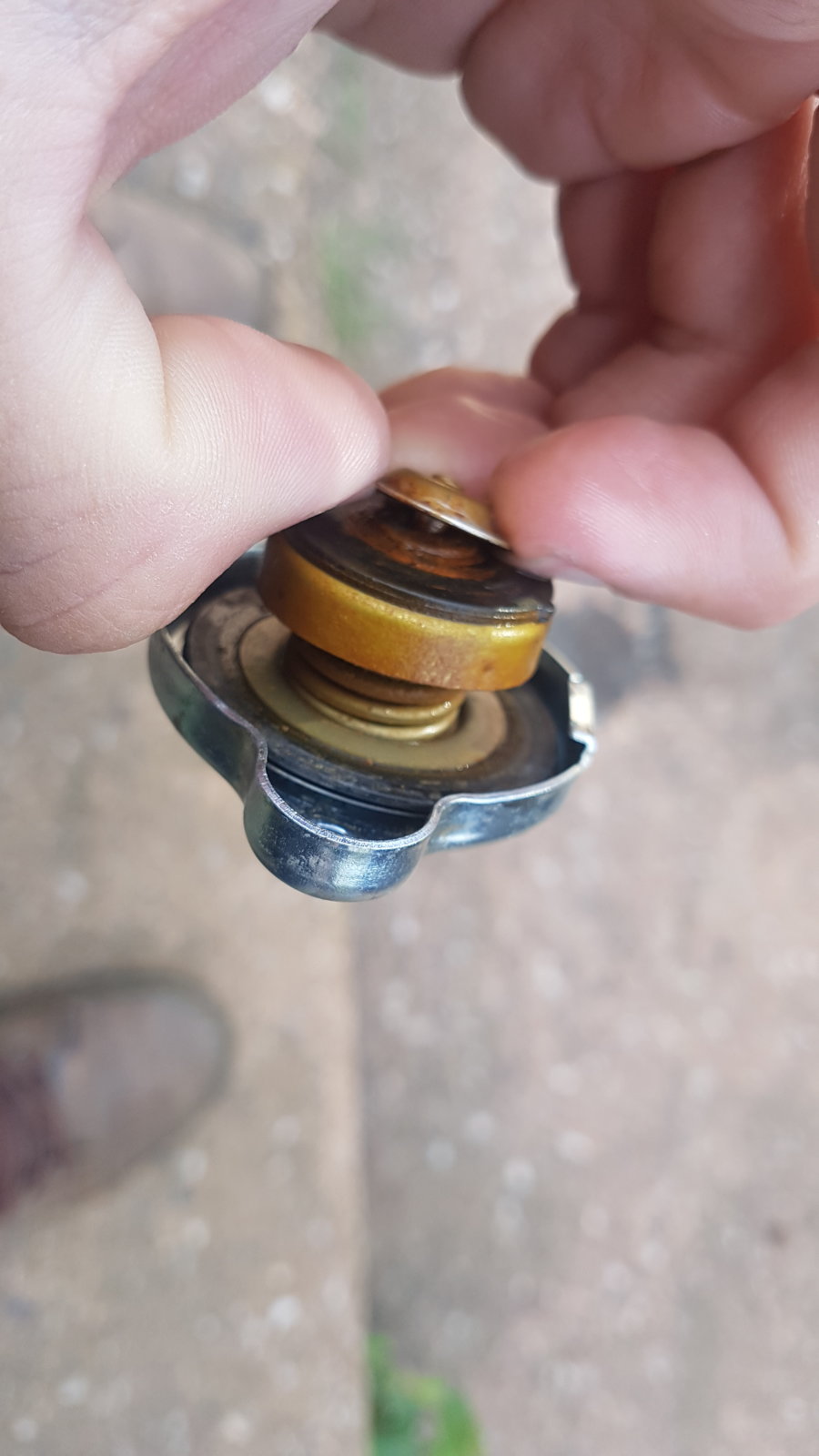 20180606_130935.jpg