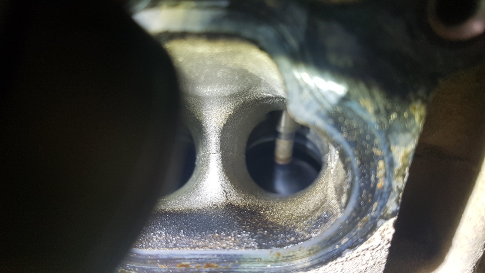 20180702_125505.jpg