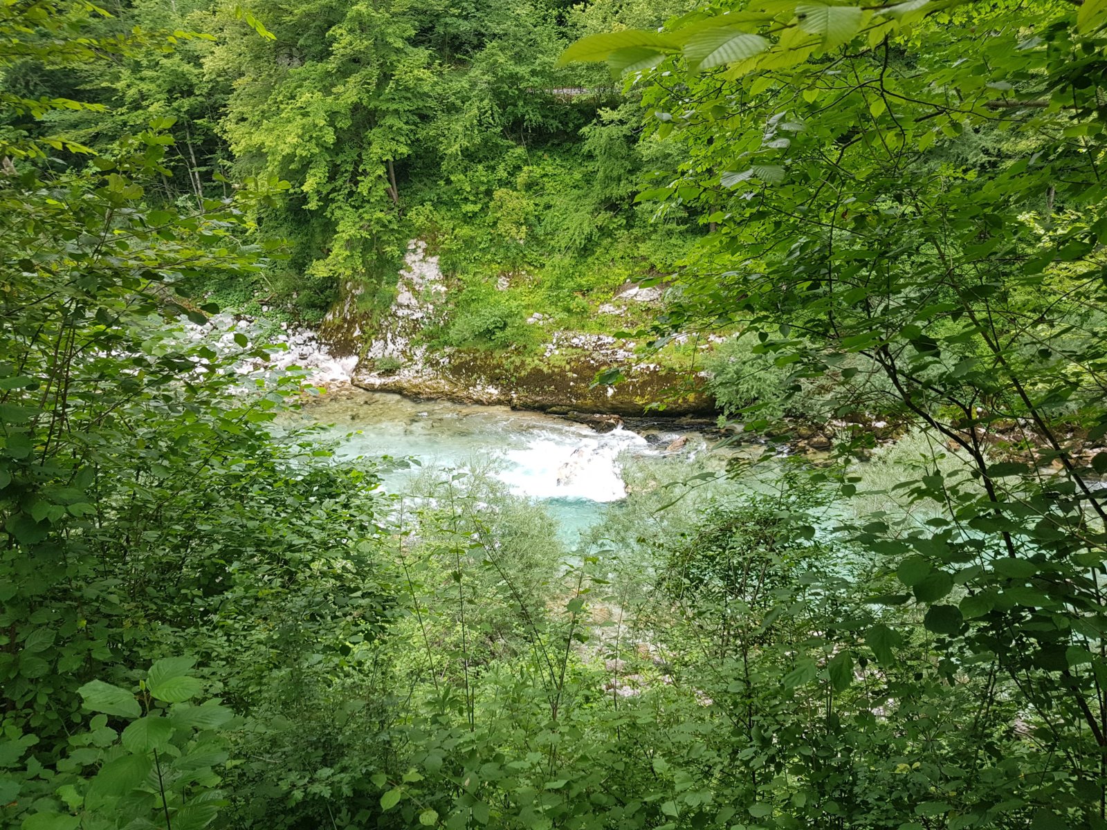 20180703_092025.jpg