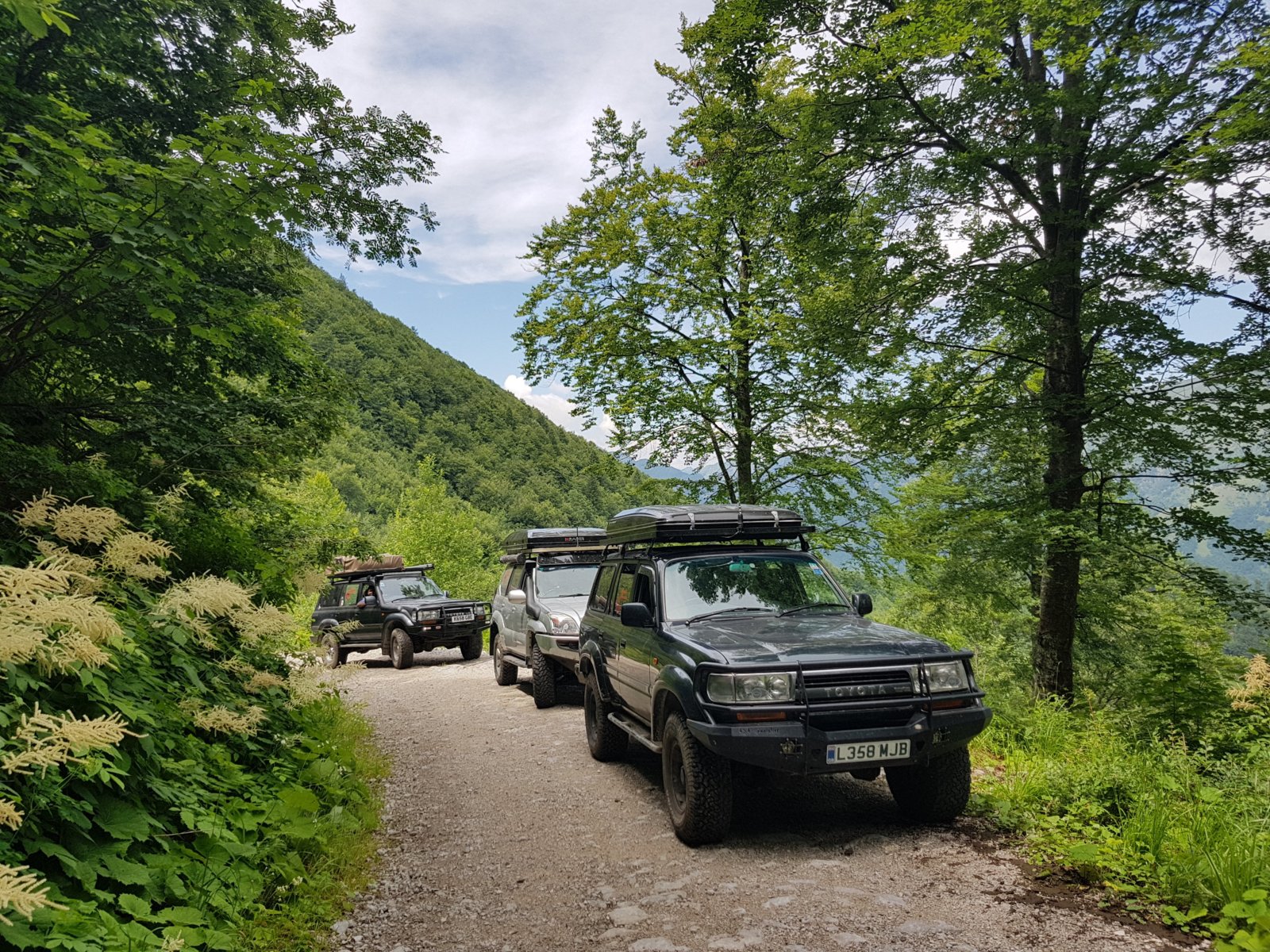 20180704_125527.jpg