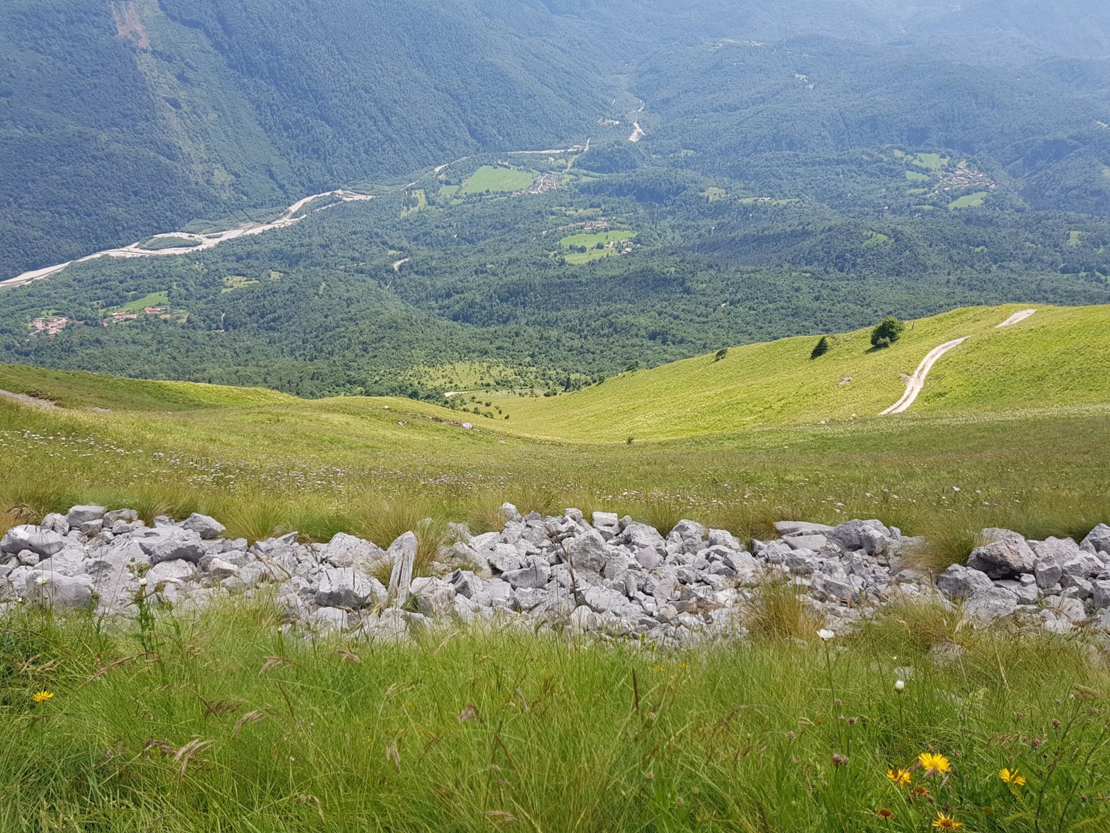 20180704_151214.jpg