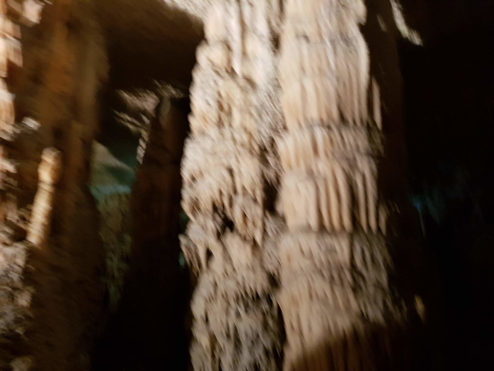 20180705_133352.jpg