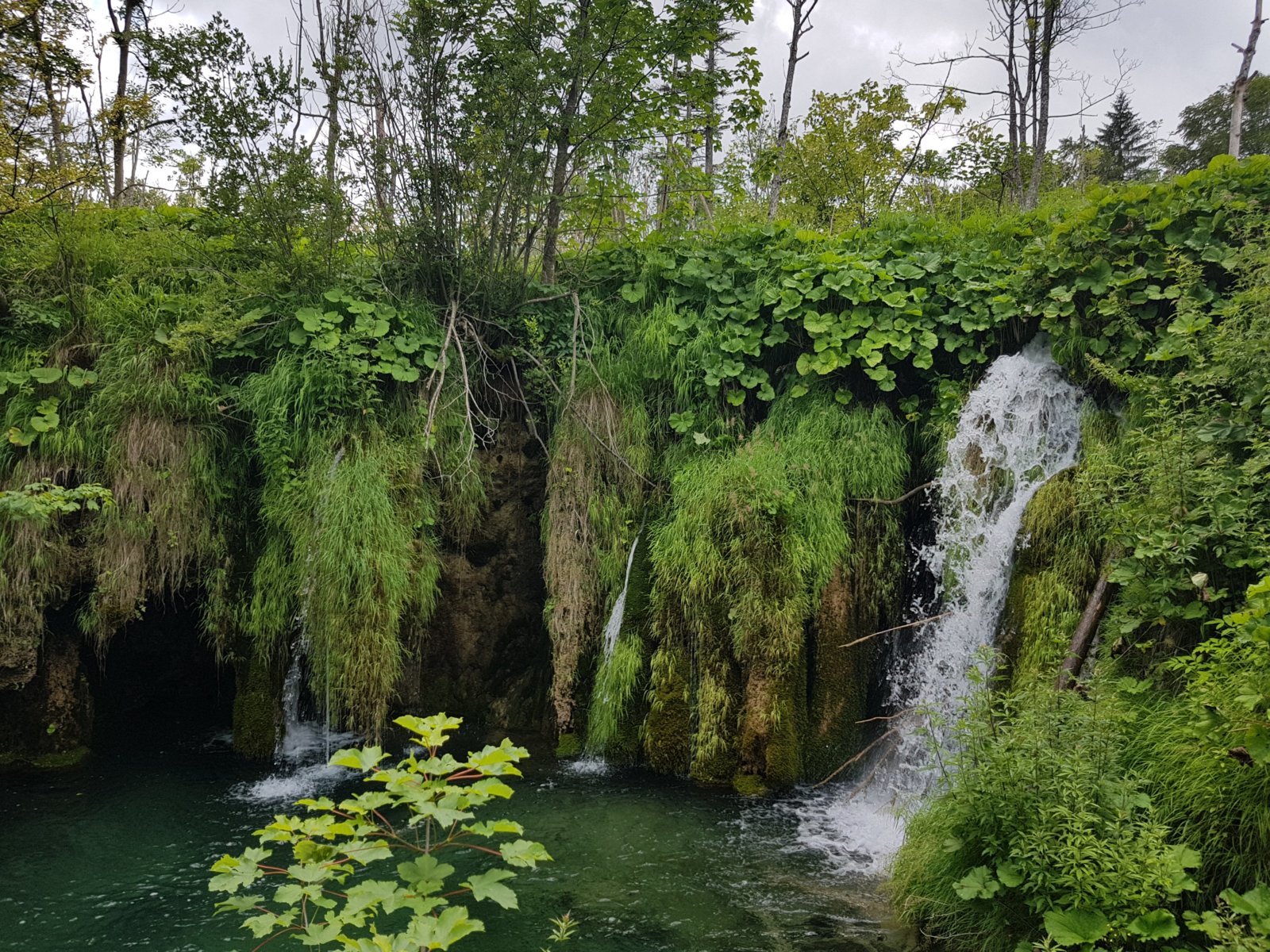 20180706_135414.jpg