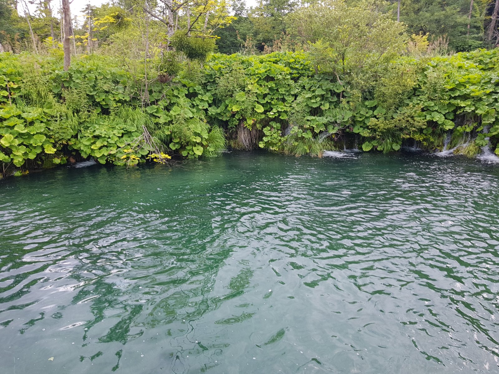 20180706_135450.jpg