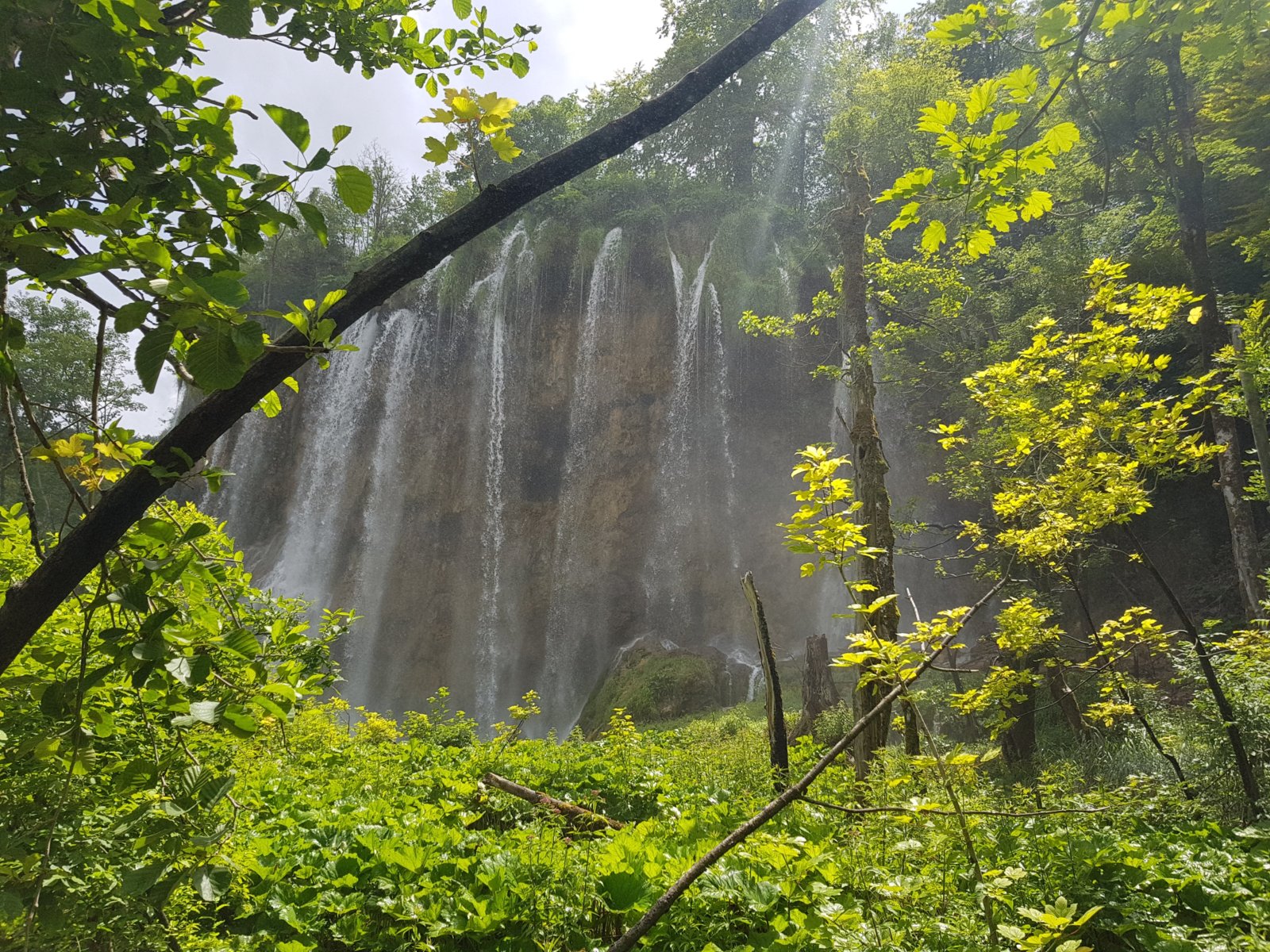 20180706_141536.jpg