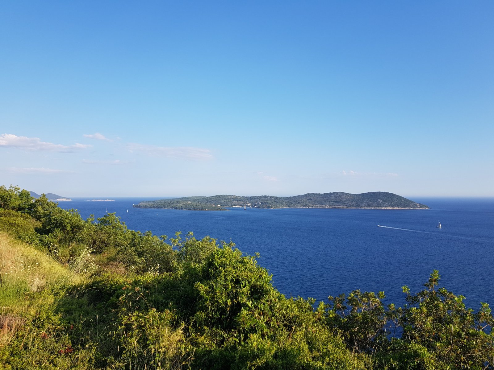 20180707_184117.jpg