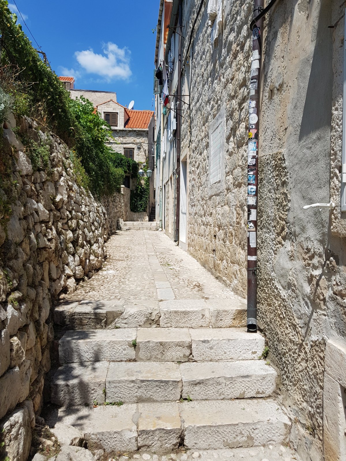 20180708_115320.jpg