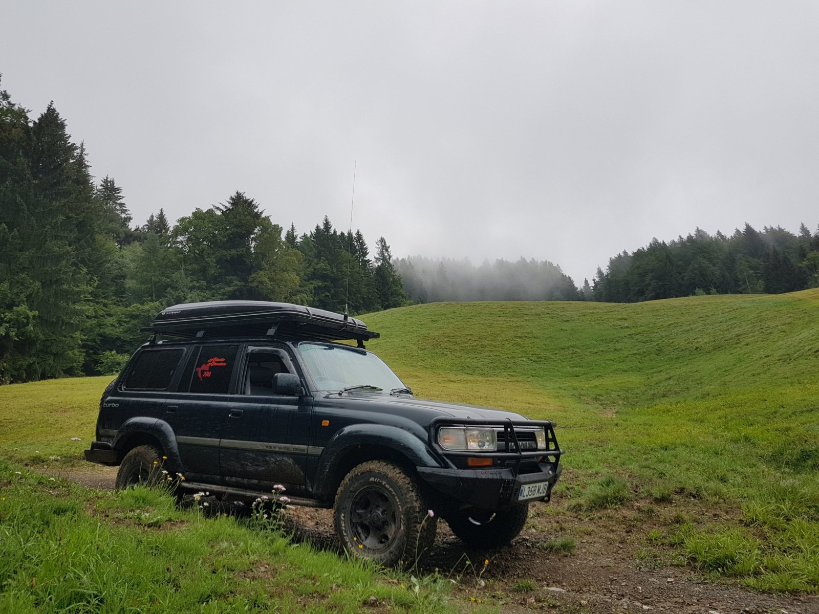 20180711_125126.jpg