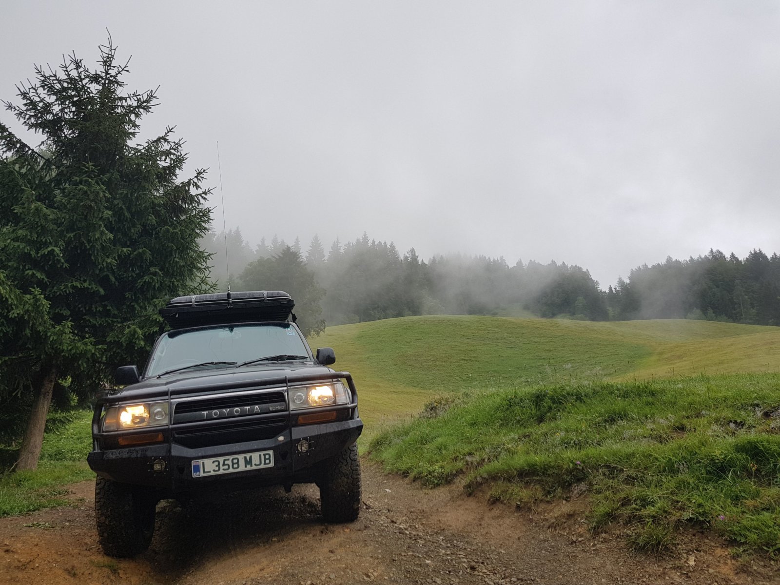 20180711_125423.jpg