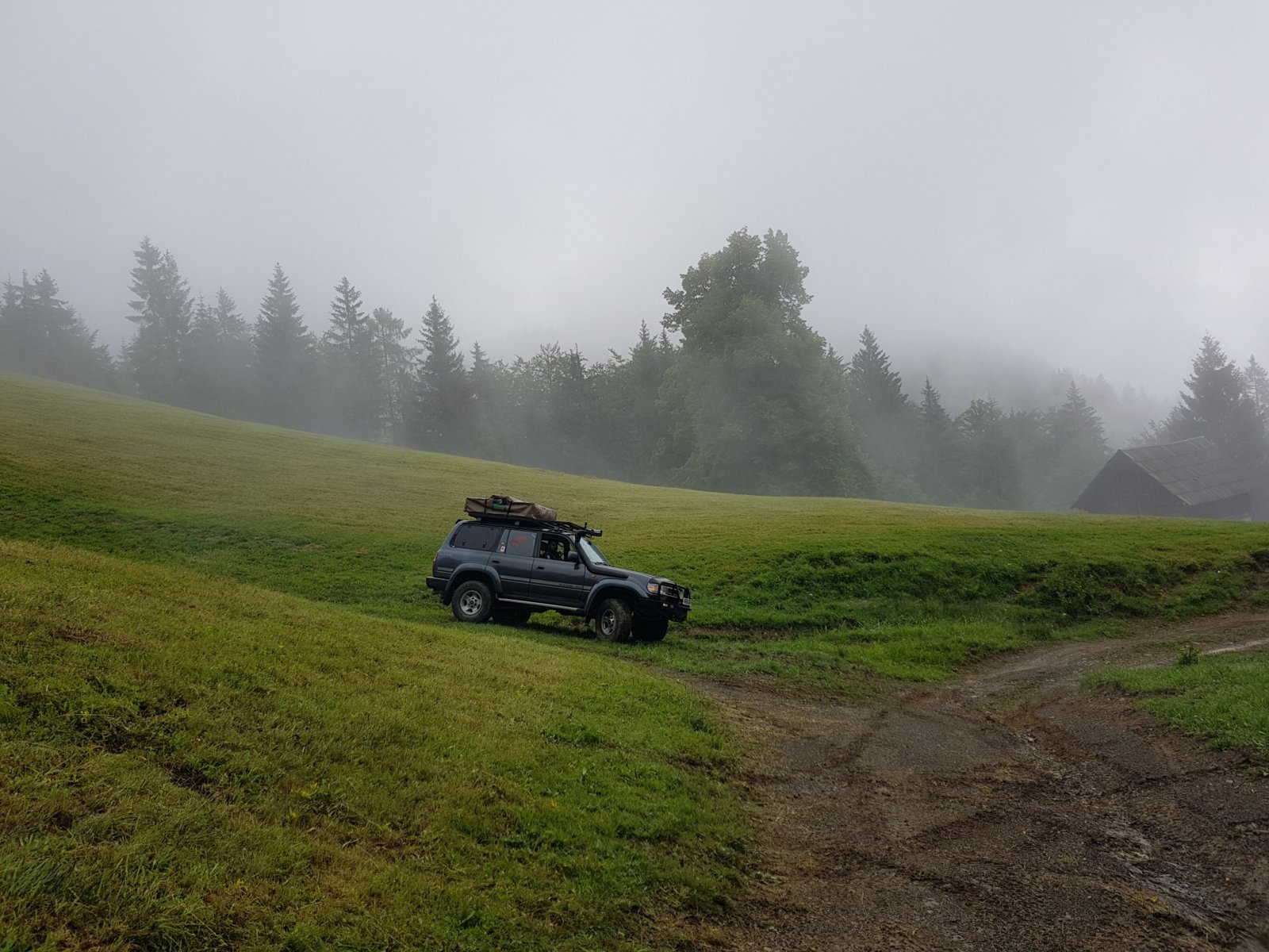 20180711_125735.jpg