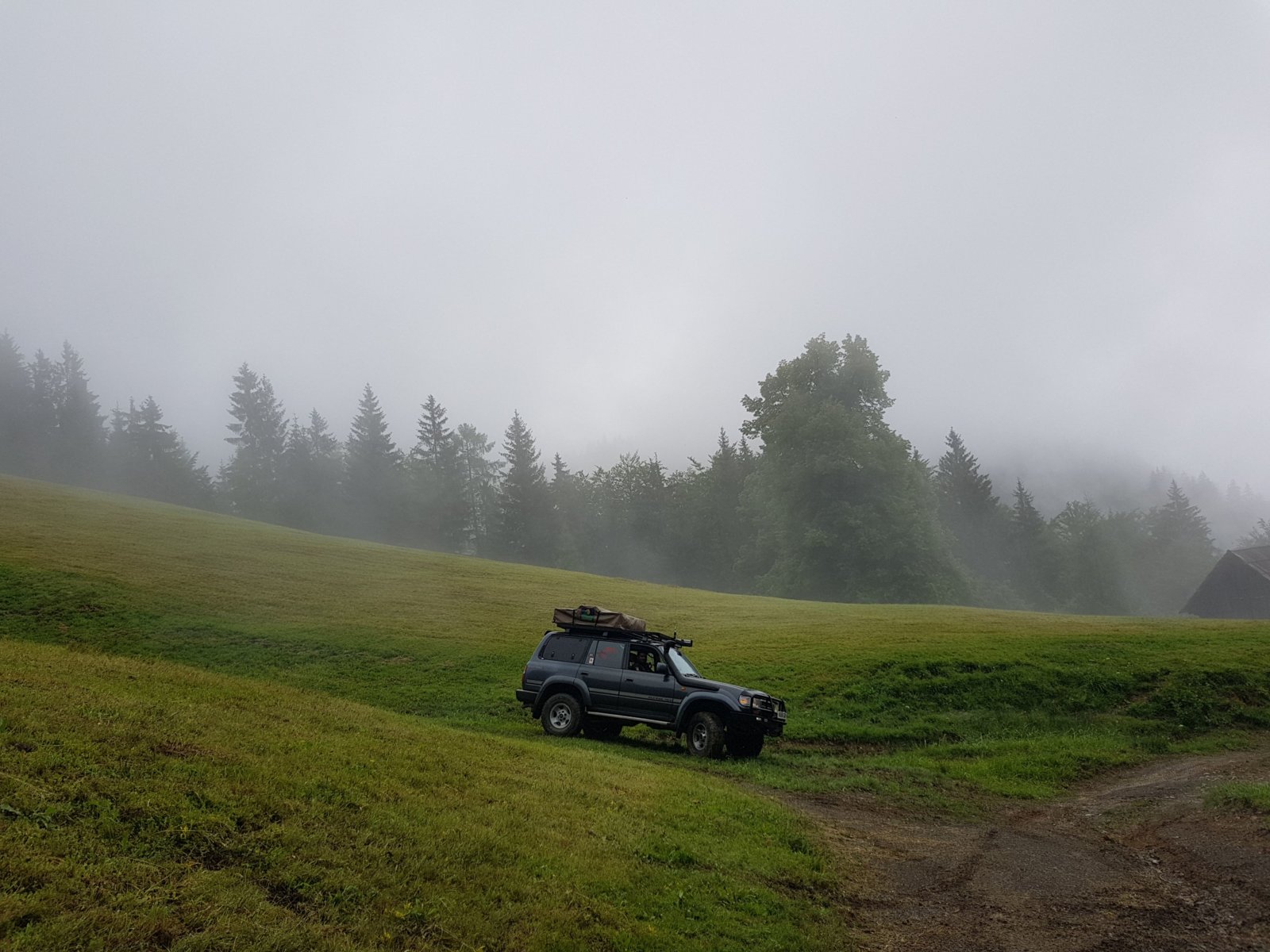 20180711_125736.jpg