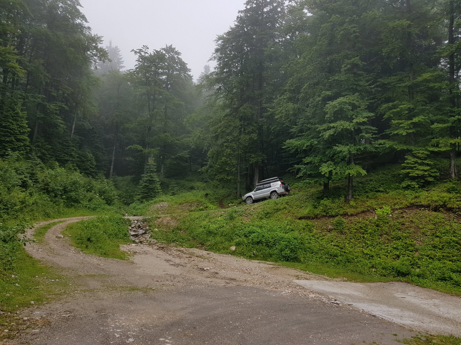 20180711_140712.jpg