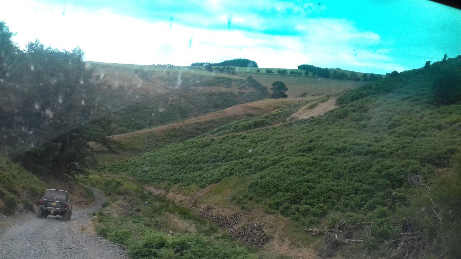 20180716_134055.jpg