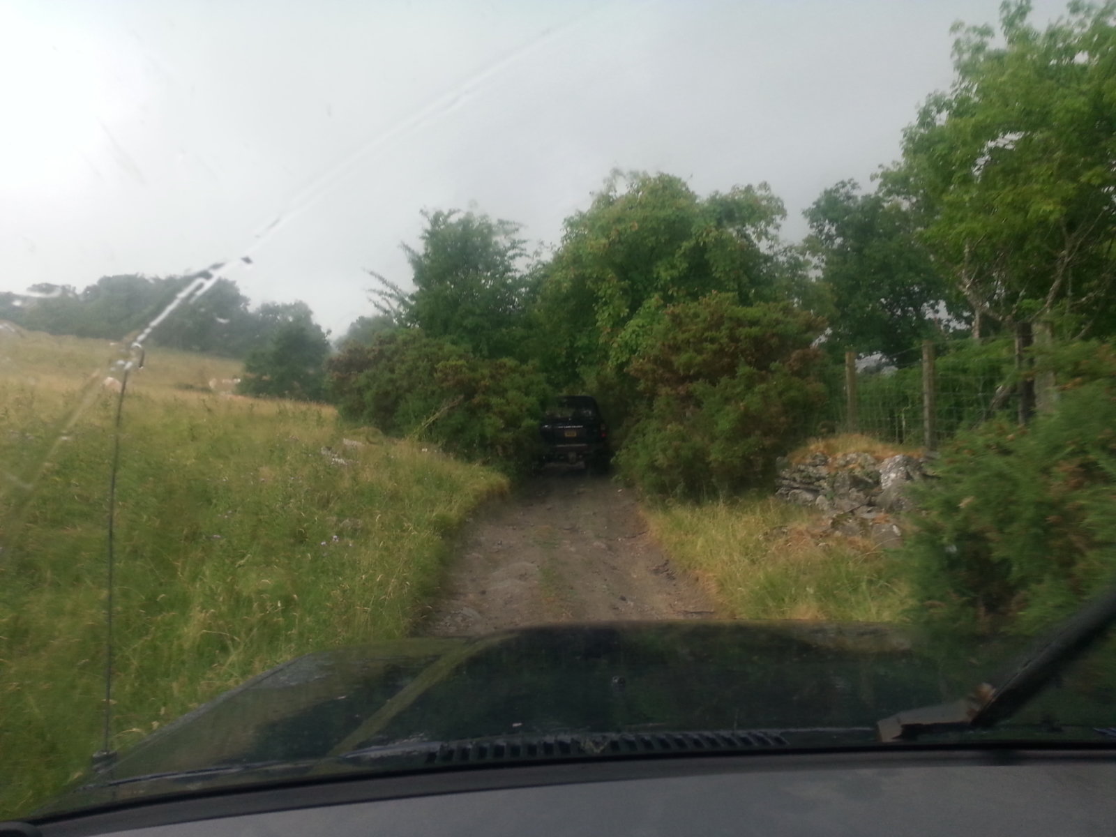 20180716_164841.jpg