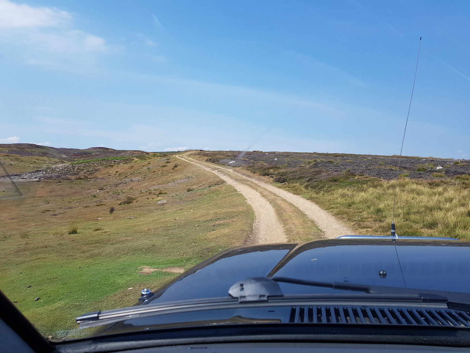 20180727_114727.jpg
