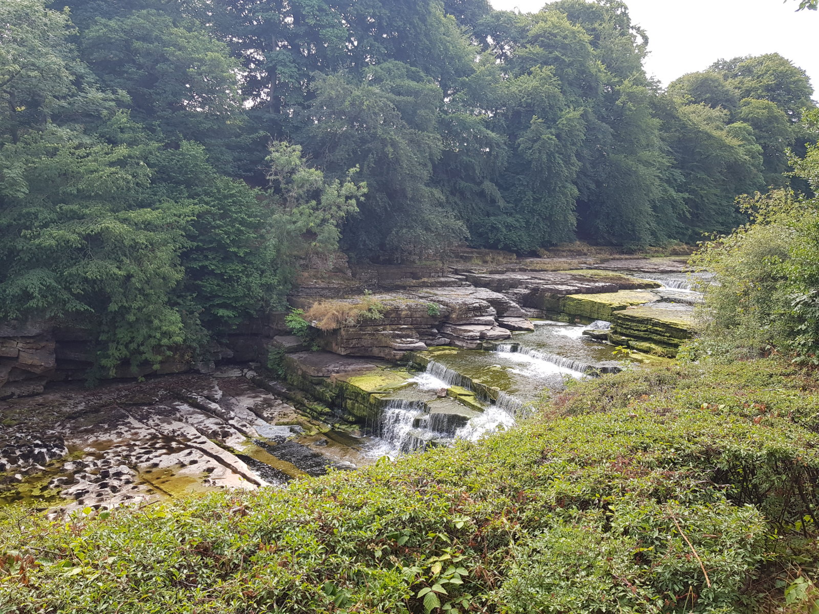 20180727_131038.jpg