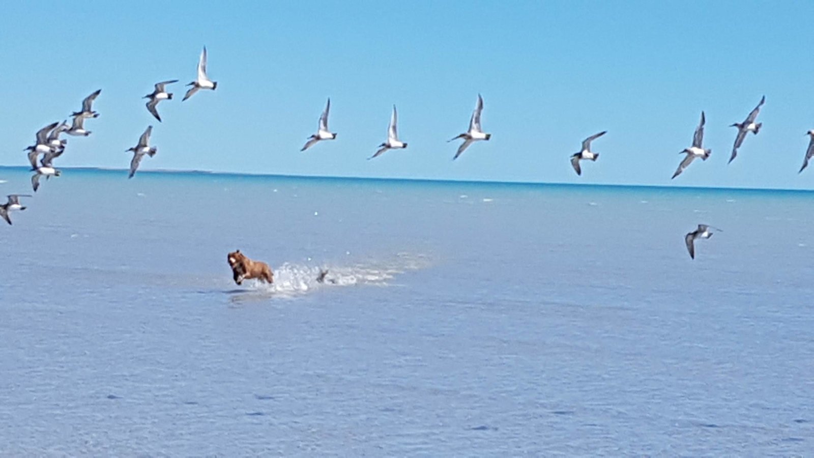 20180808_115927.jpg