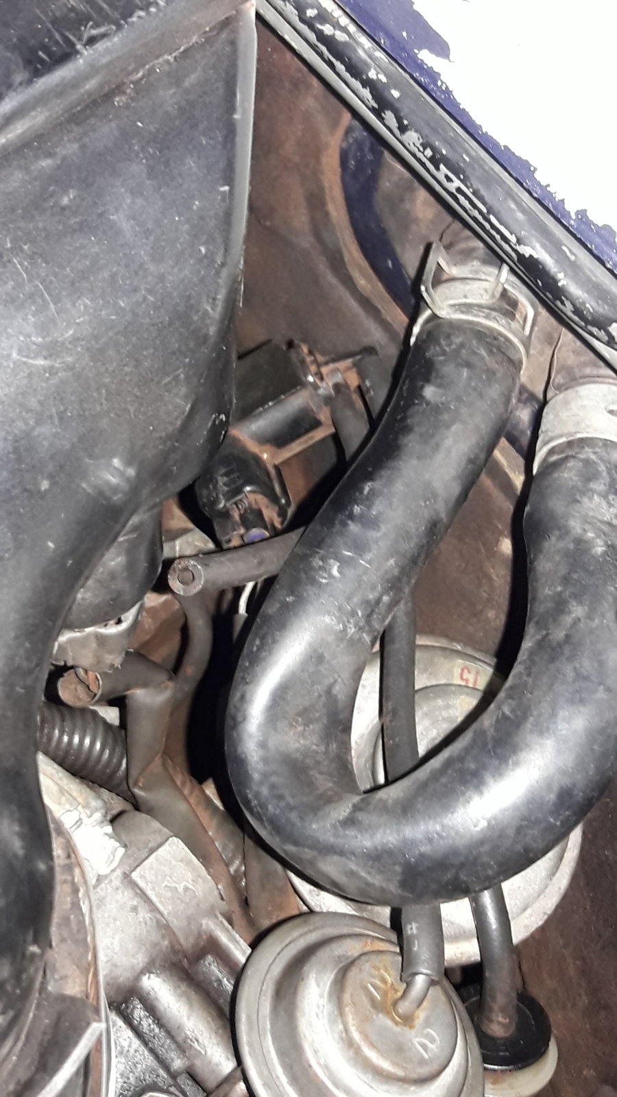 20181120_214110[1].jpg