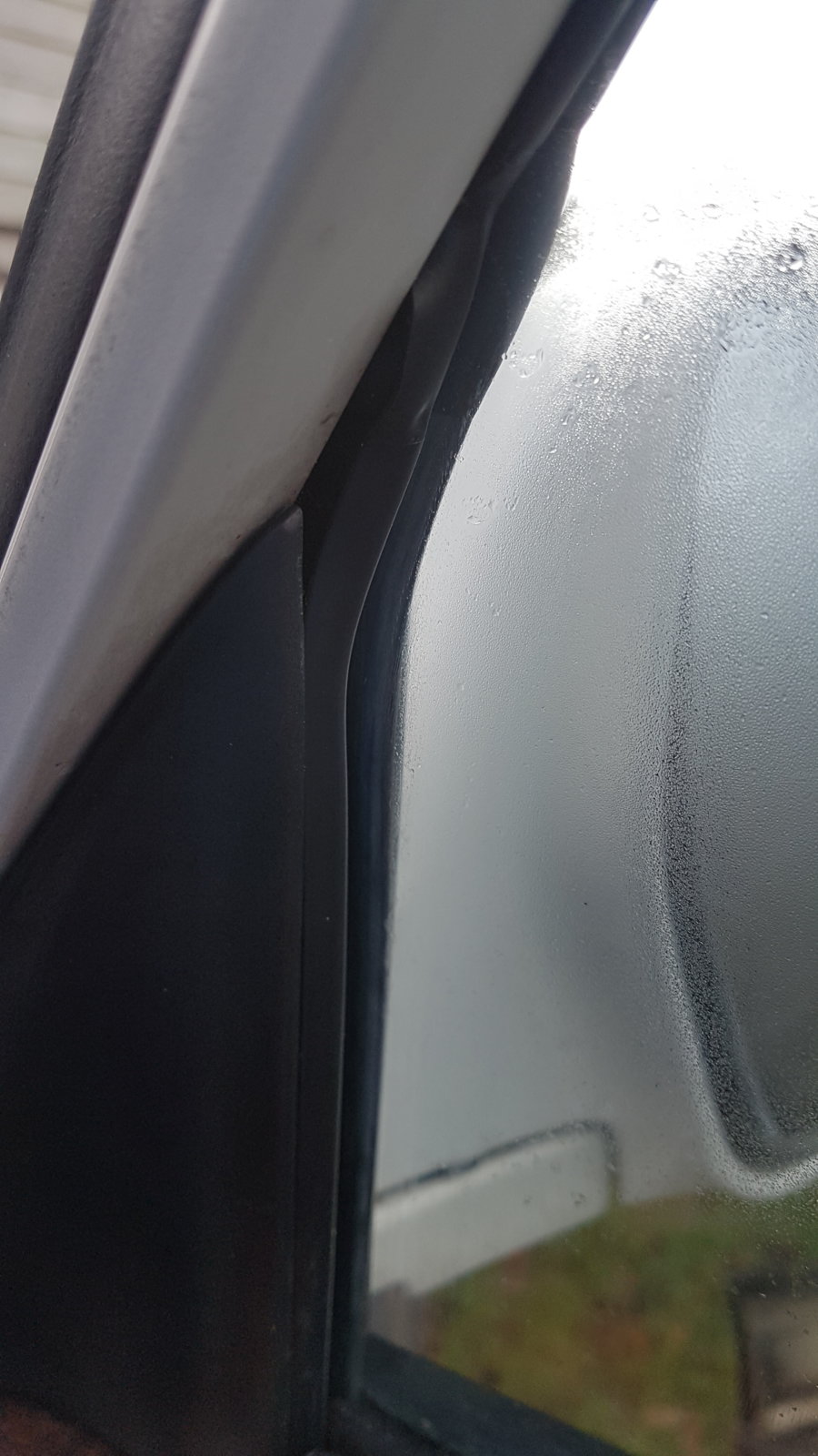 20190121_114444.jpg