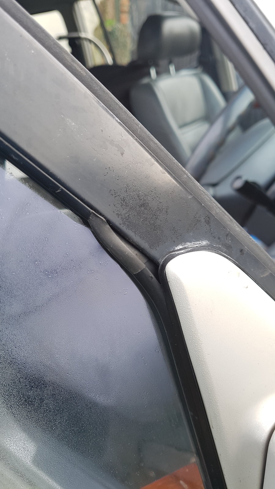 20190121_114455.jpg