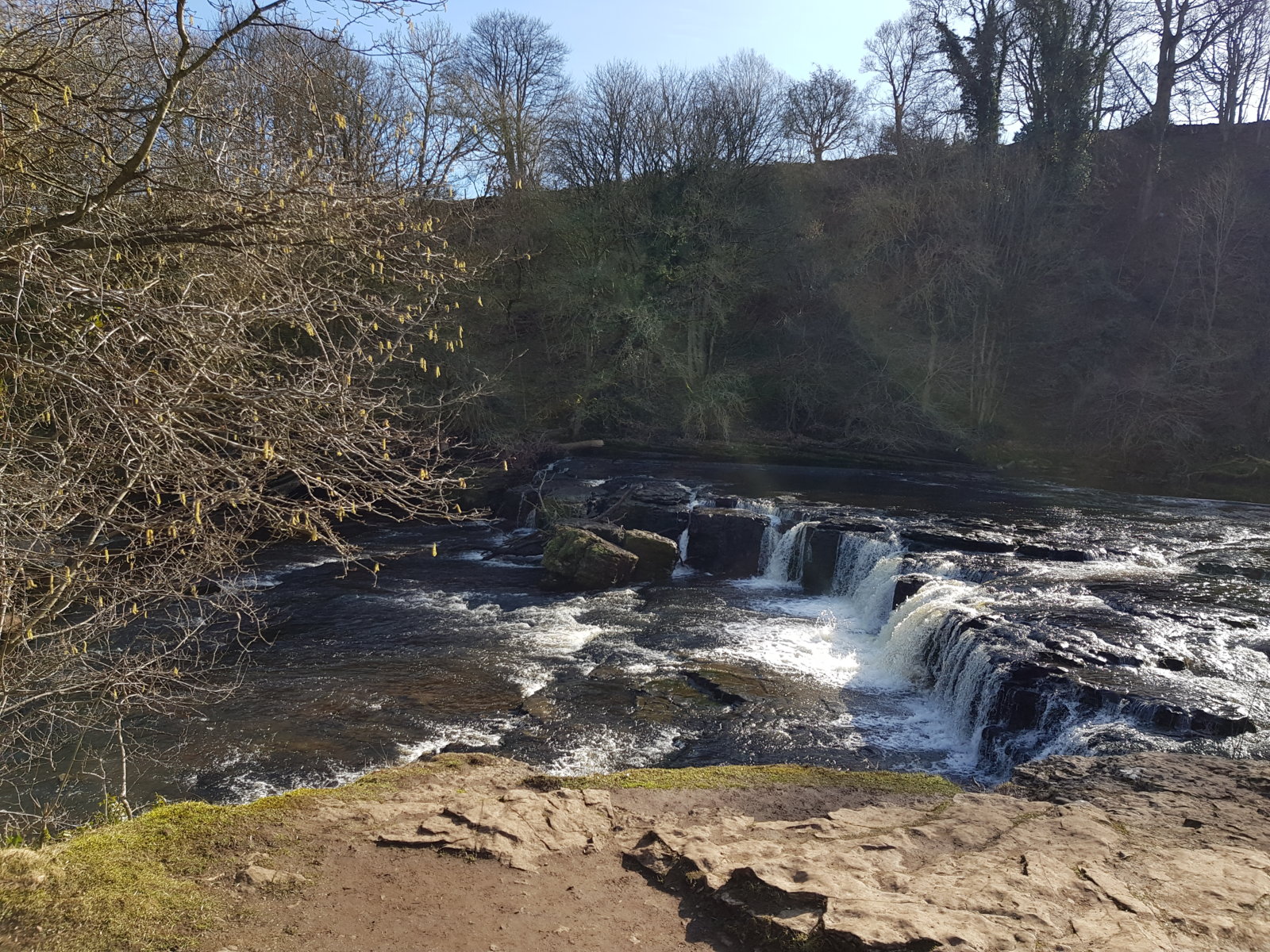 20190225_125055.jpg