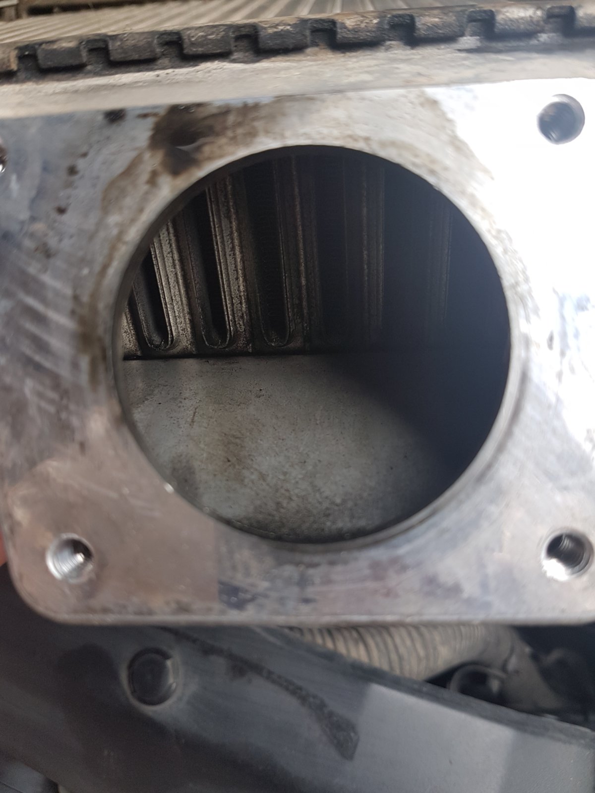 20190520_185155.jpg
