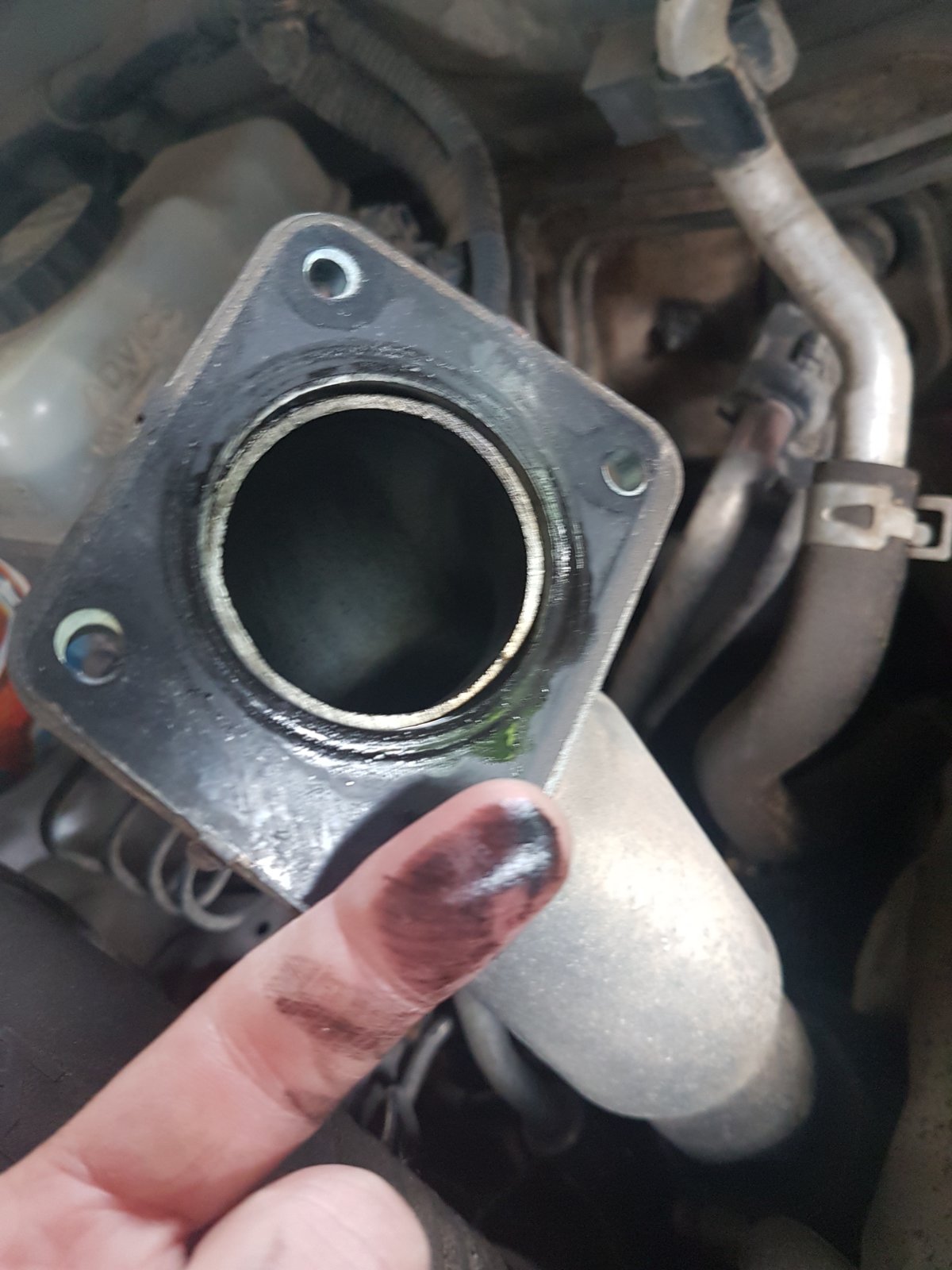 20190520_185315.jpg