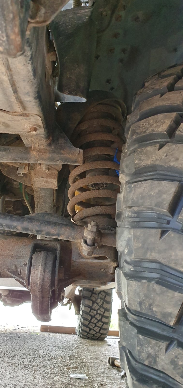 20190527_113731.jpg
