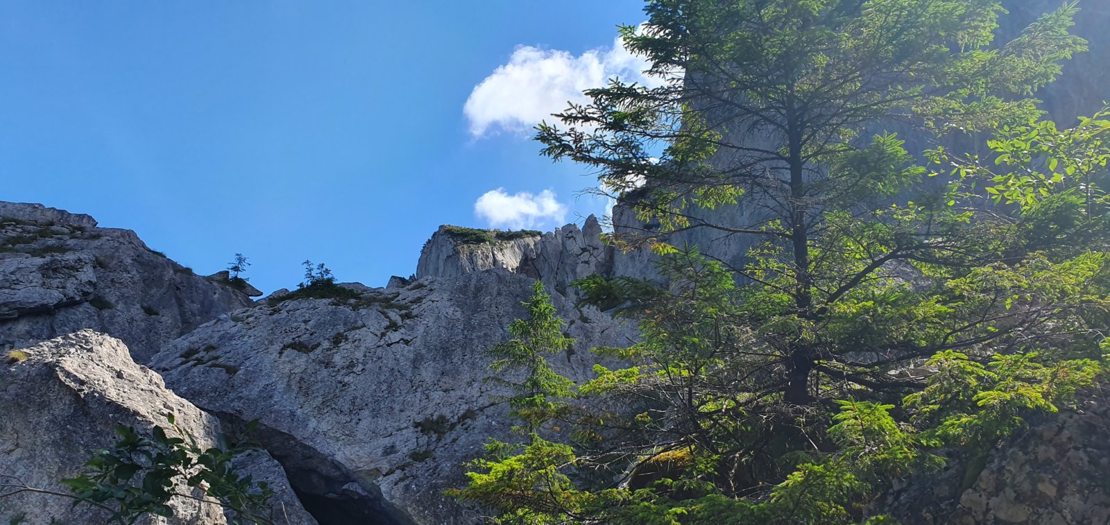 20190821_113600.jpg