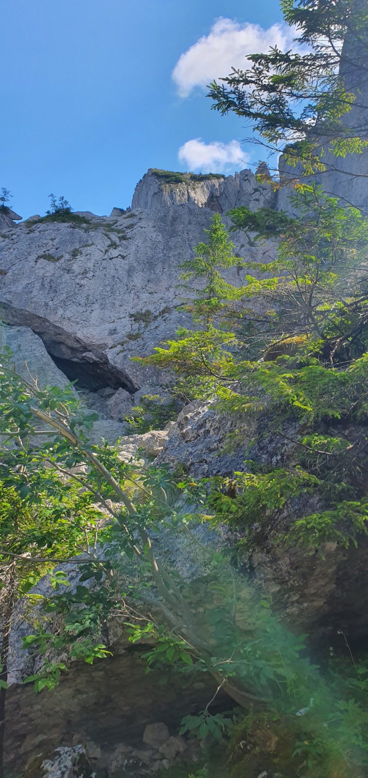 20190821_113603.jpg