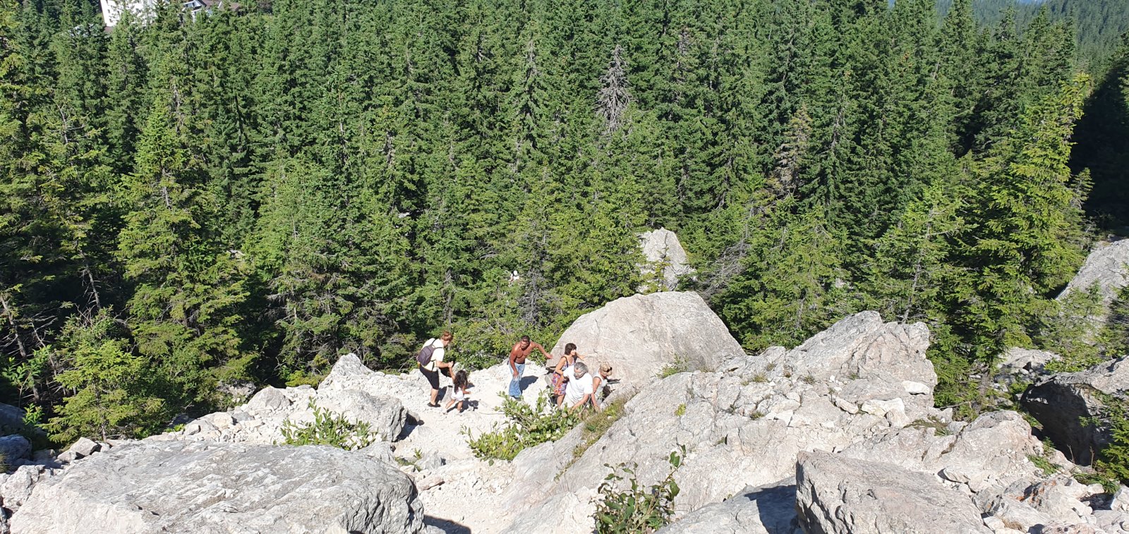 20190821_113817.jpg