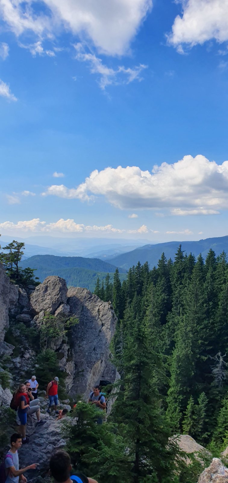 20190821_114956.jpg