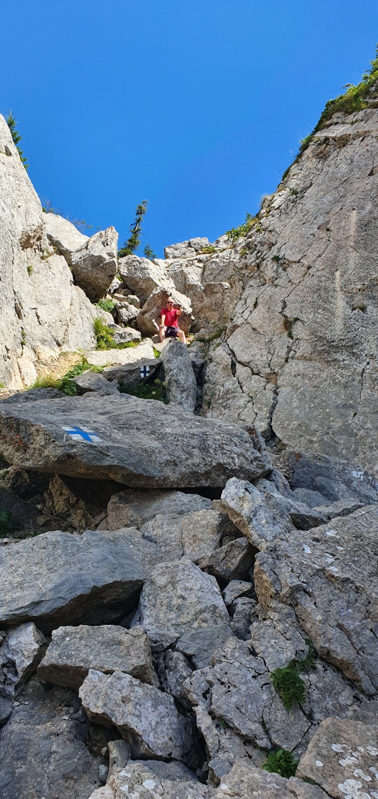 20190821_115144.jpg