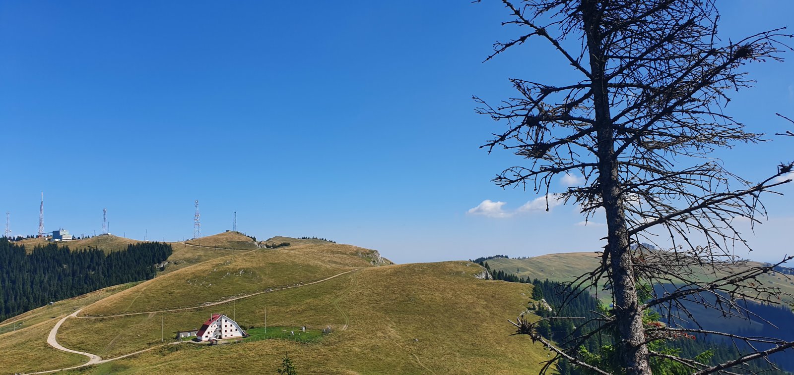 20190821_120723.jpg