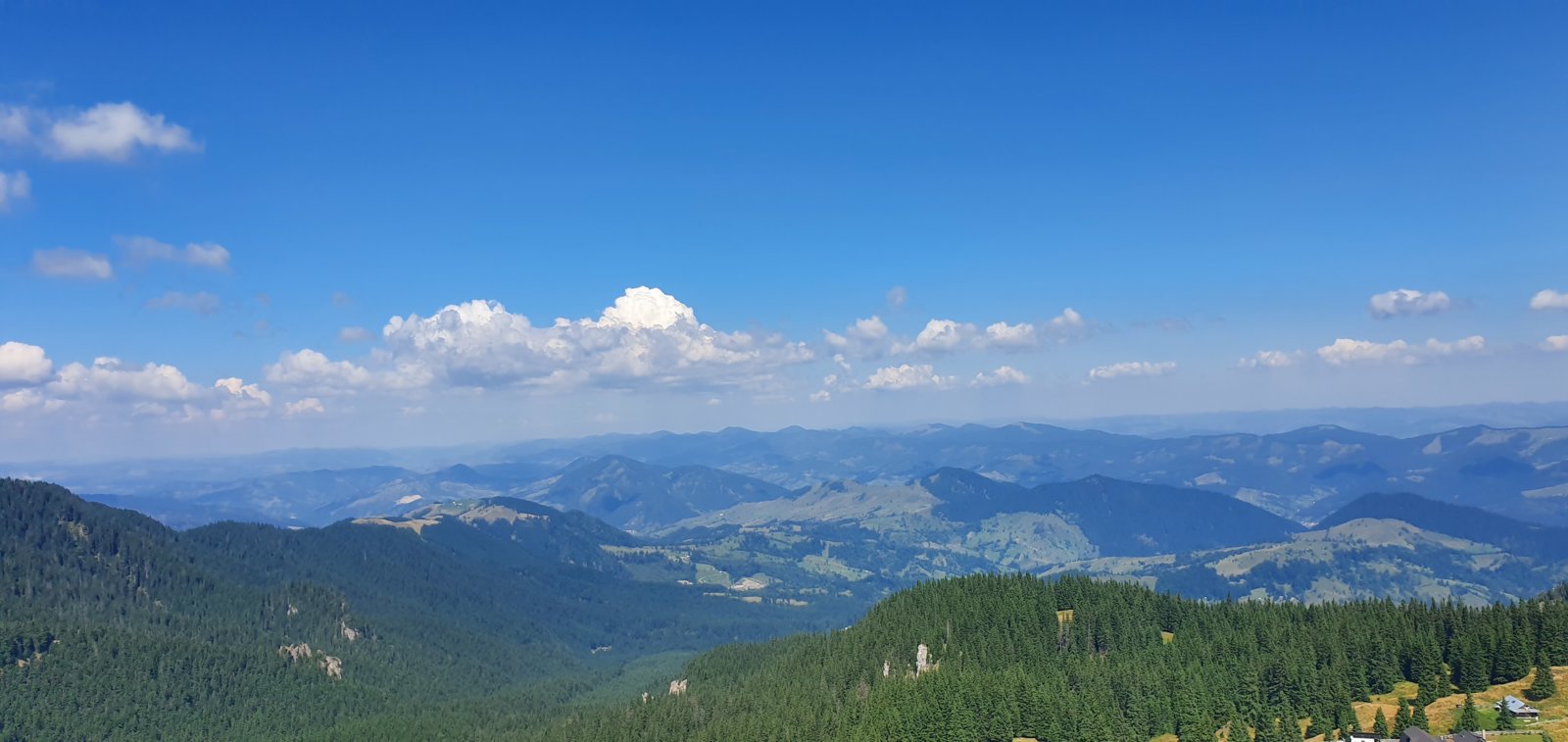 20190821_121101.jpg