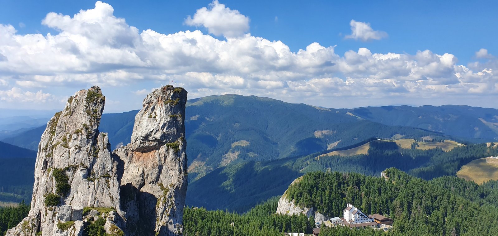 20190821_121121.jpg