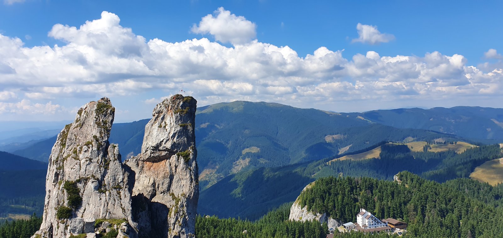 20190821_121124.jpg
