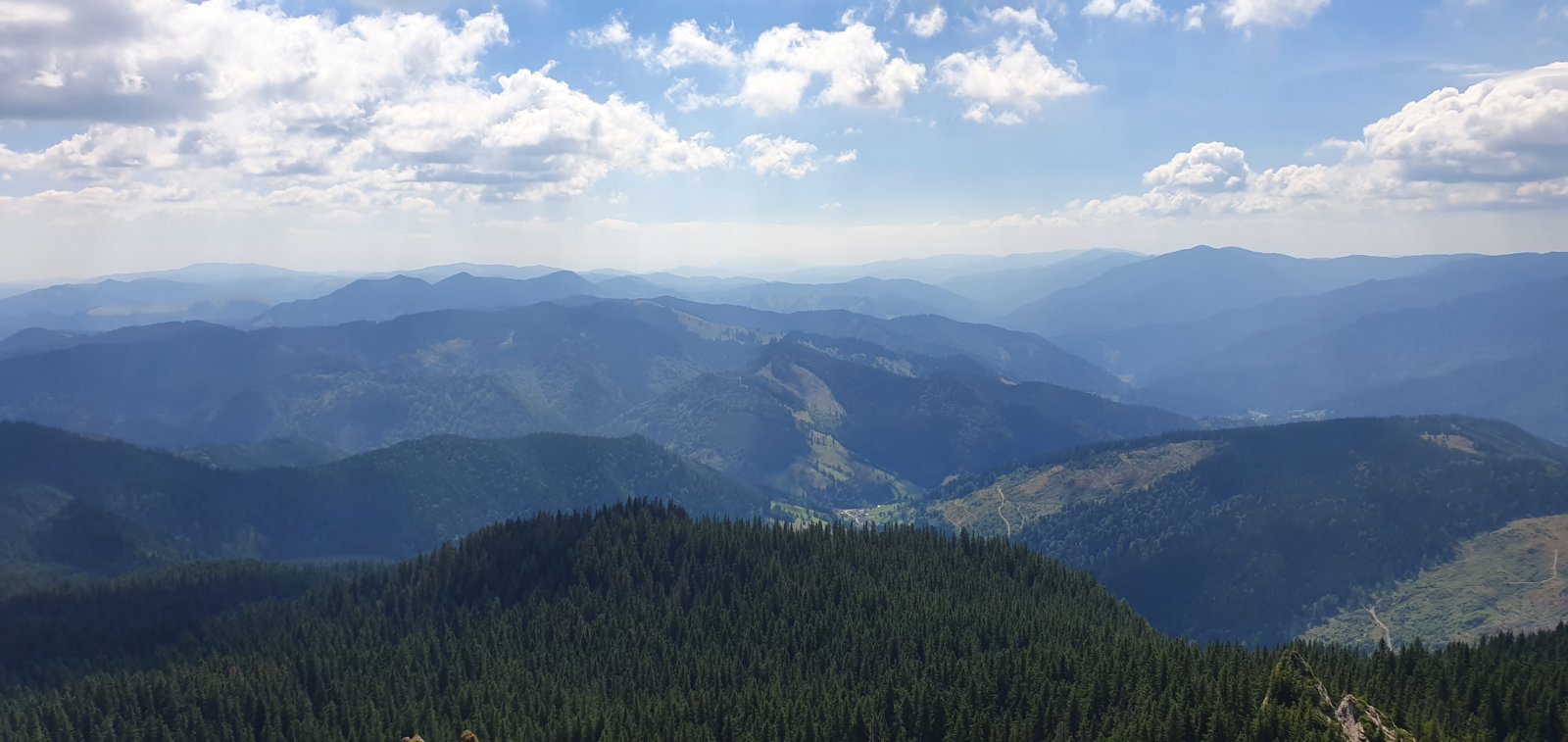 20190821_121151.jpg