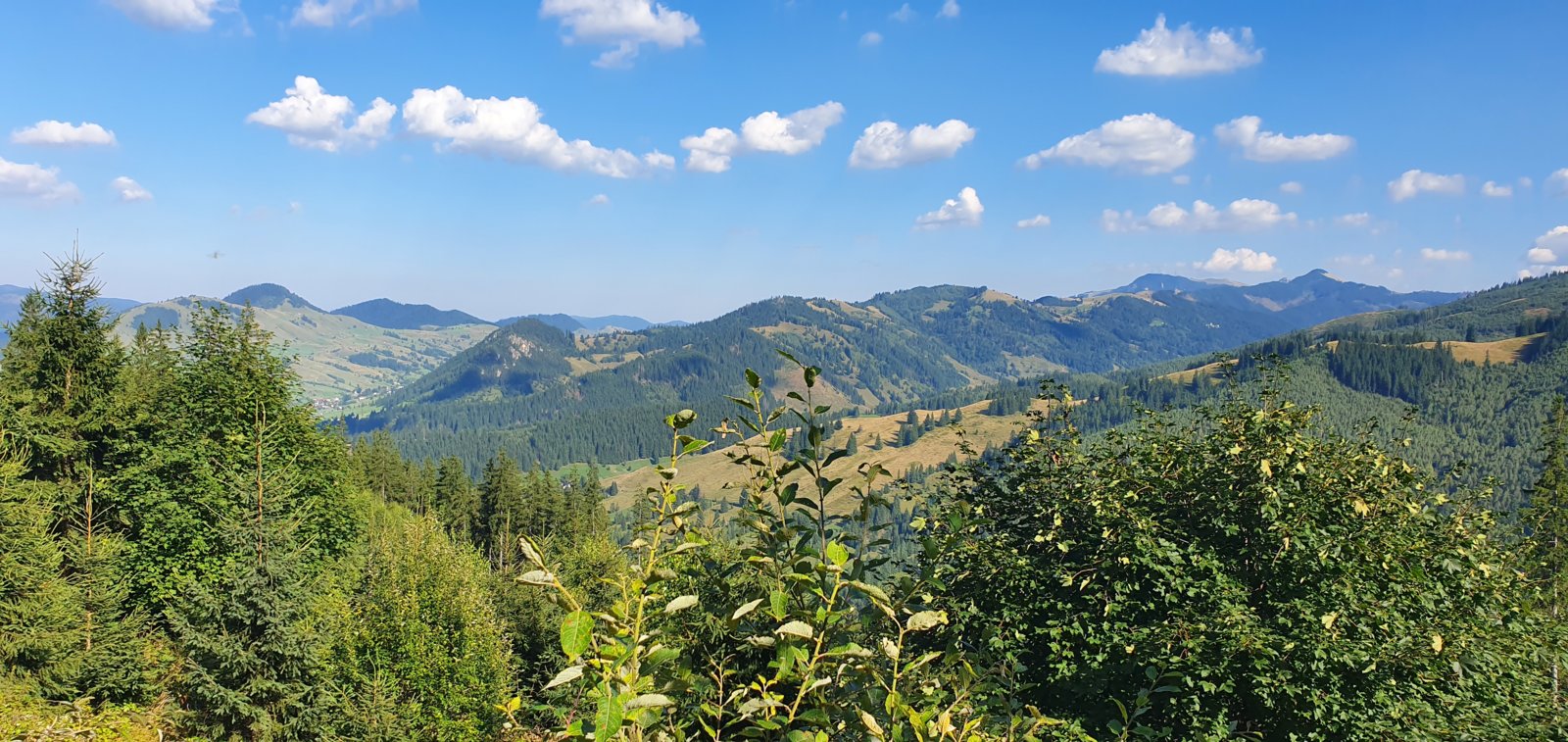 20190821_164513.jpg