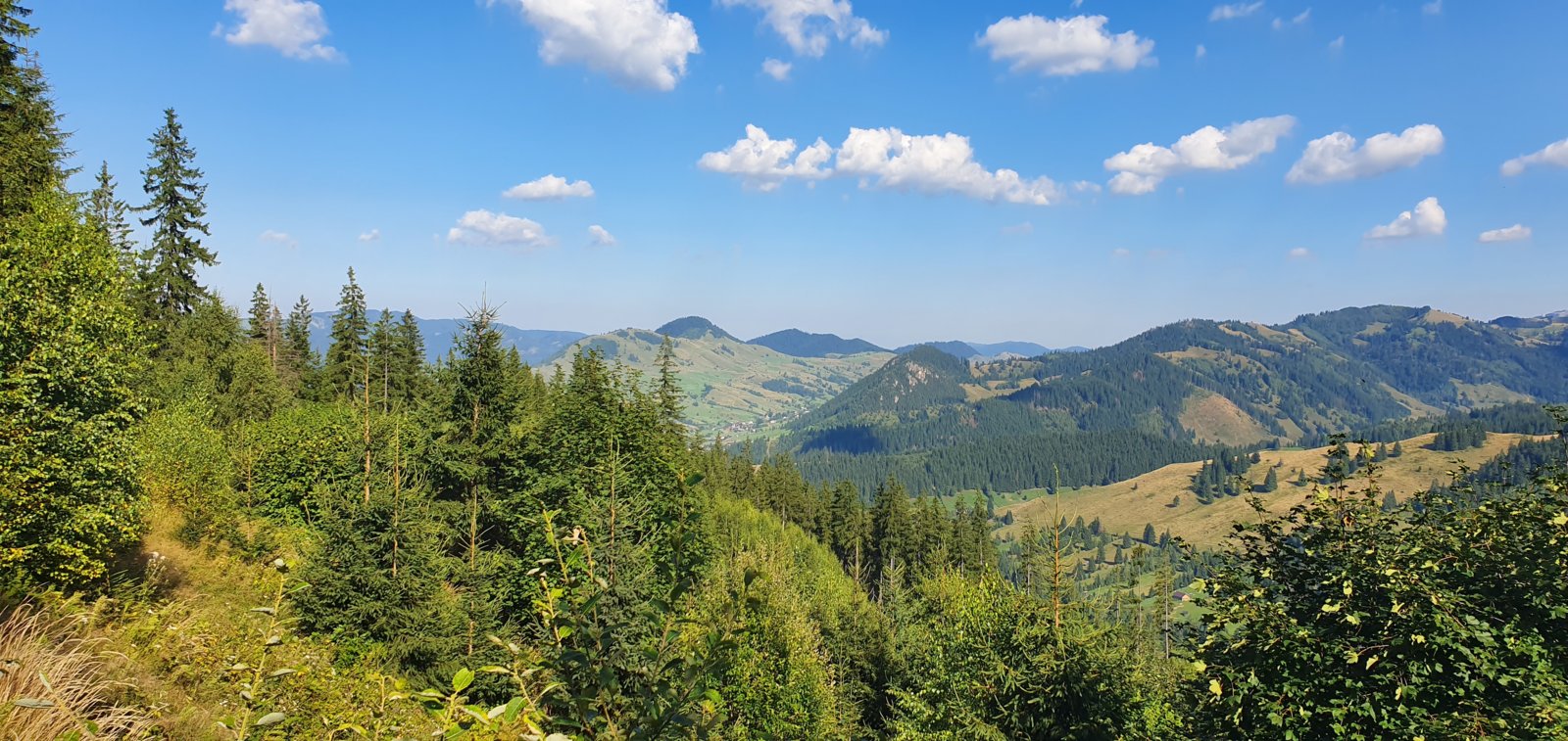 20190821_164558.jpg